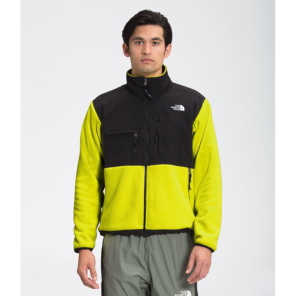 The North Face Fleece Jacket Mens Australia - The North Face ’95 Retro Denali Green Snow (HKX-584032